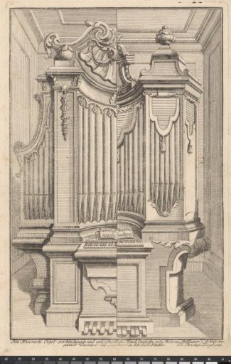 Organ
