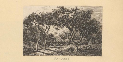 Landscape with trees