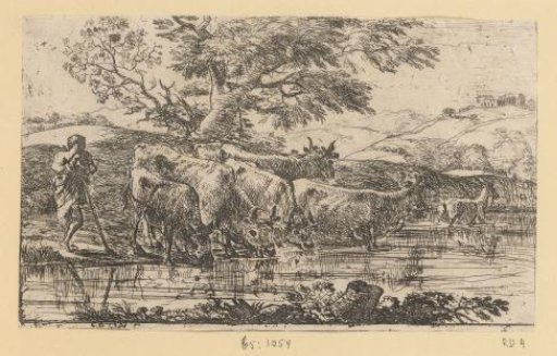 Herd drinking at a shore
