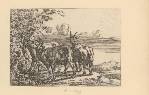 Three goats in a landscape