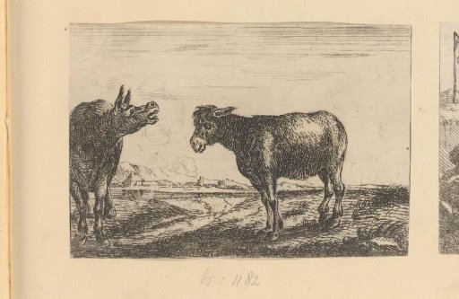 Two donkeys in a landscape