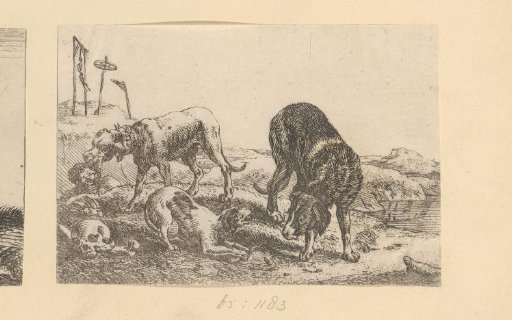 Three dogs on a graveyard
