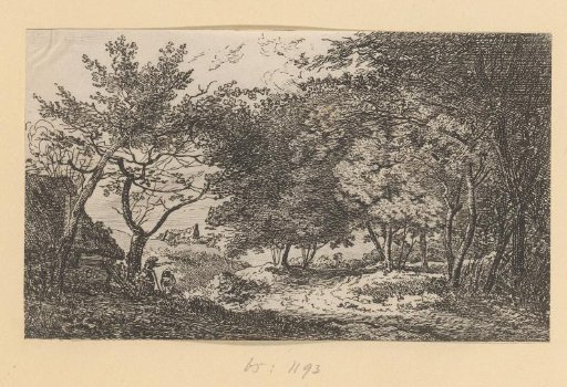 Series of landscapes