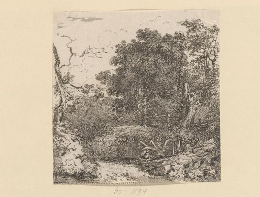 Country road by a forest