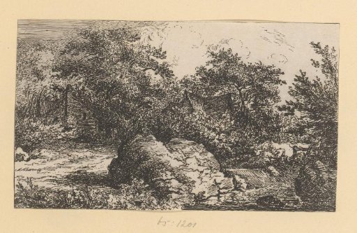 Series of landscapes