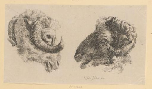 Two ram heads