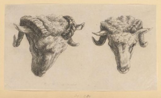 Two Ram's Heads