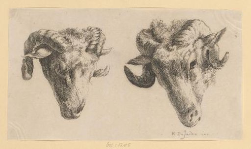 Two Ram's Heads