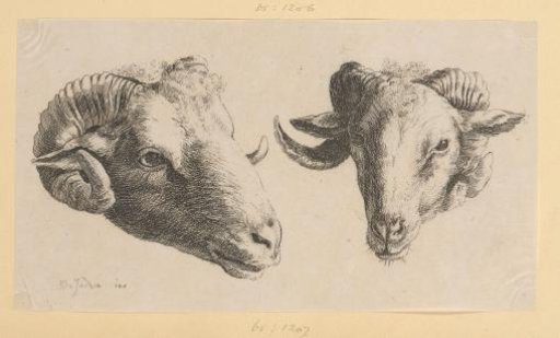 Two Ram's Heads