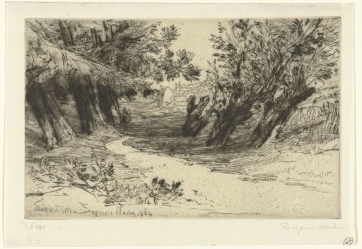 Path along the Water