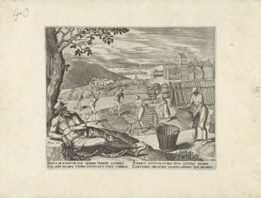 The Sloth Lies Under a Tree During the Harvest