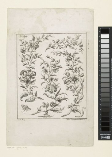 Vines with flowers