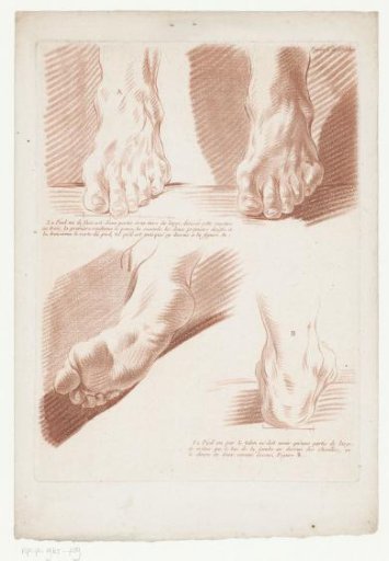Four Feet in Various Positions