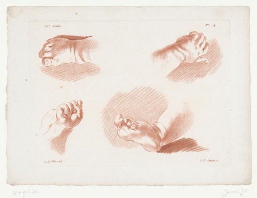 Two Children's Hands and Feet