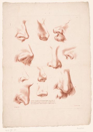Eleven Noses from Various Perspectives