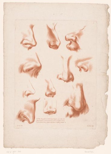 Eleven Noses from Various Perspectives