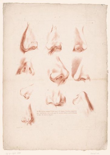Ten Noses from Various Perspectives