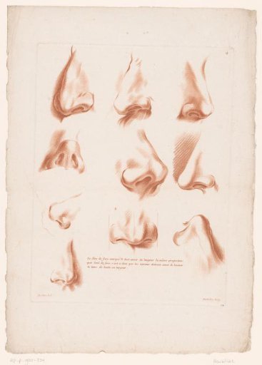 Ten Noses from Various Perspectives