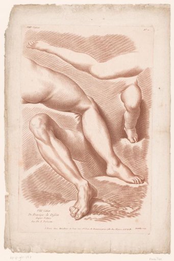 Title Print with Four Legs in Various Poses
