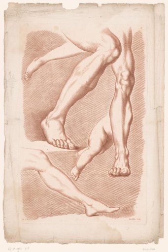 Six Legs in Various Poses