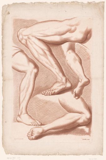 Four Legs in Various Poses