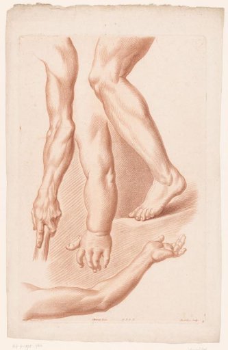 Various Views of a Leg and Three Arms