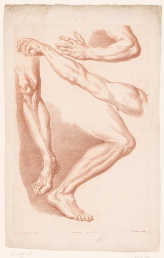 Various Views of Two Legs and Two Arms