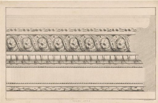Frame with floral motifs and tulips
