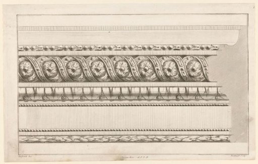 Frame with floral motifs and tulips