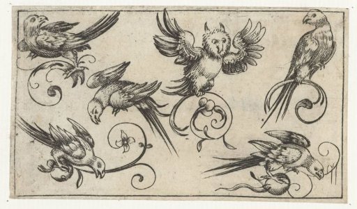 Six birds including an owl