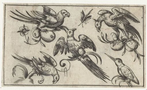 Five birds and a dragonfly