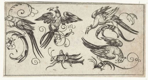 Four birds and a grasshopper