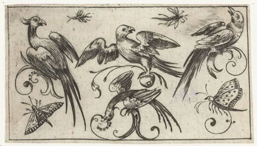Four birds, two butterflies and two insects