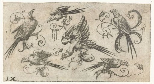 Six birds on branches with vines