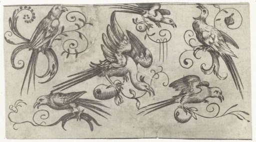 Six birds on branches with vines