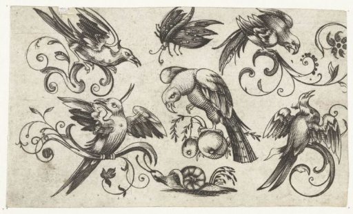 Five birds, a butterfly and a snail