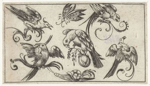 Five birds, a butterfly and a snail