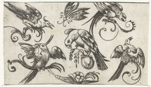 Five birds, a butterfly and a snail