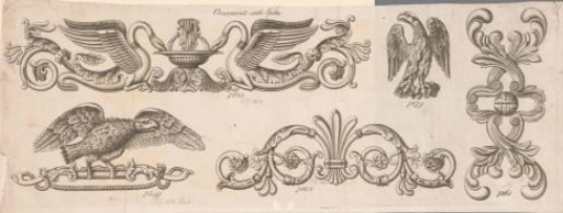 Swans and Eagles