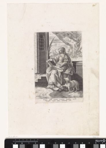 Saint Agnes
