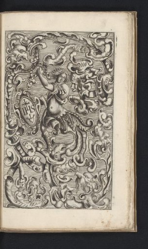Ornamental design in the rococo style