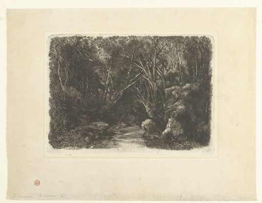 Wooded landscape with stream and overhanging trees