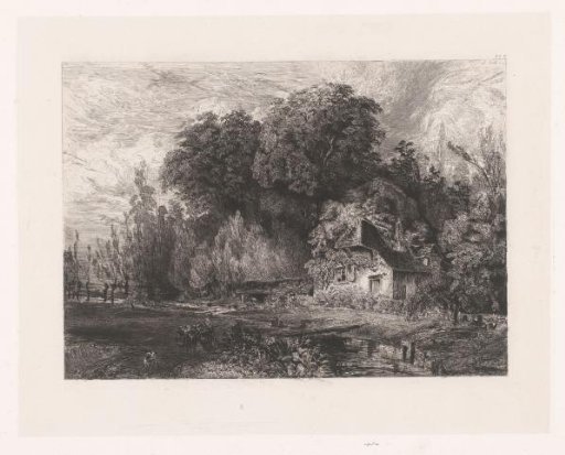 View of a house on the edge of a forest