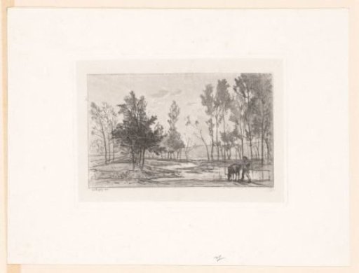 Landscape with a drinking donkey