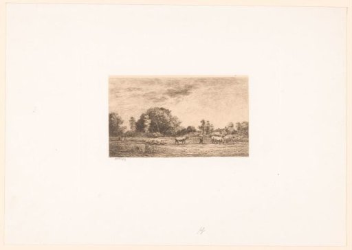 Landscape with cows