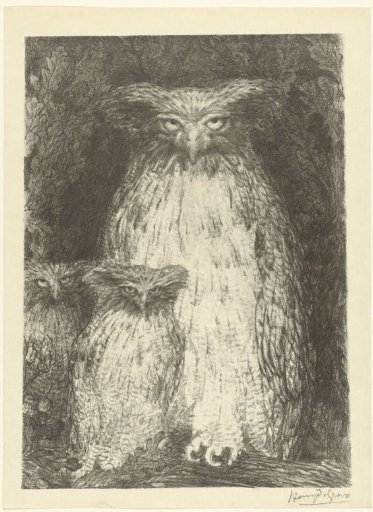 Owl with two owlets sitting on branch
