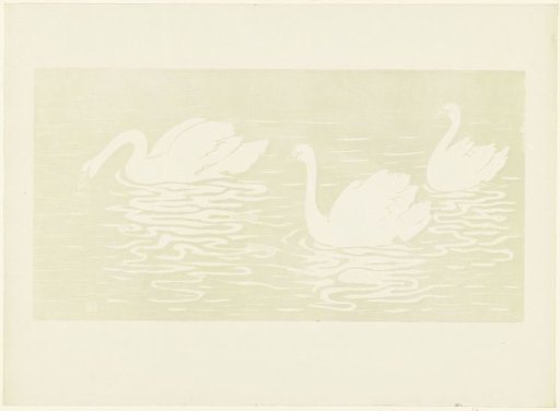 Three swans swimming in water