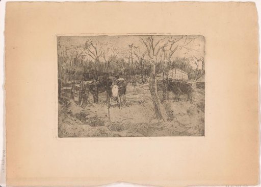 Meadow with trees and cows