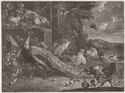 Landscape with birds