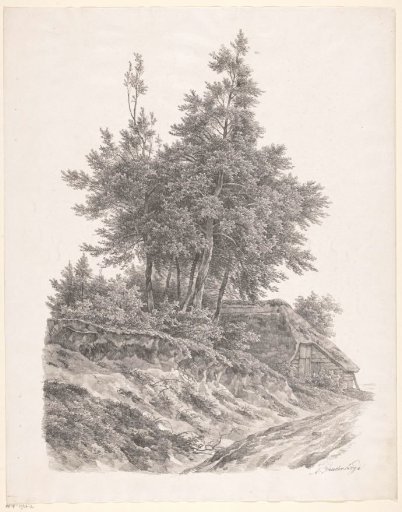 Group of trees near a farmhouse